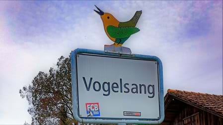 Regionales Ostschweiz Vogelsang